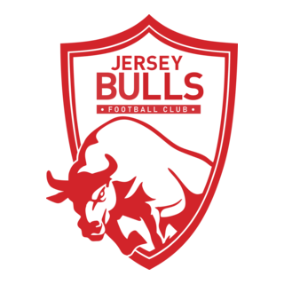 Jersey Bulls Academy 